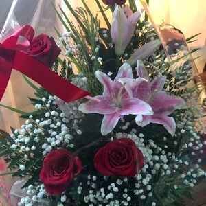 Meet your Posher, Wendy